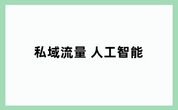 私域流量 人工智能
